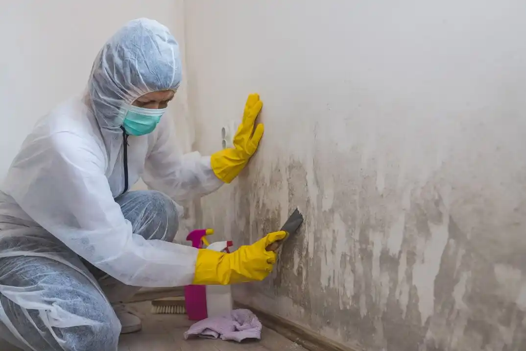 water damage restoration service Middle Towne Arch